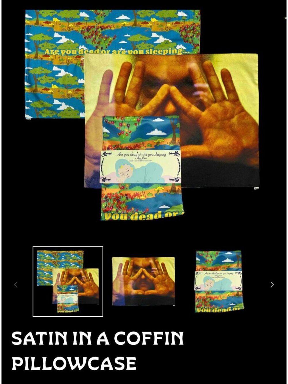 Modest Mouse "Satin in a Coffin" Pillowcase Offical Merchandise NIP
